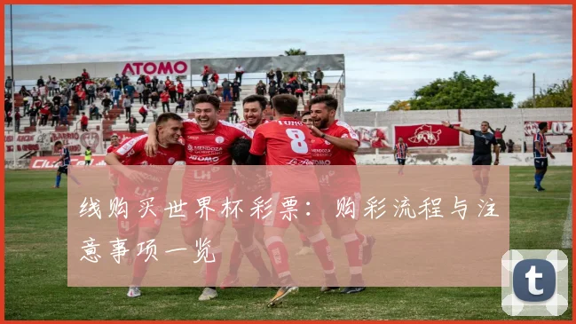 线购买世界杯彩票：购彩流程与注意事项一览