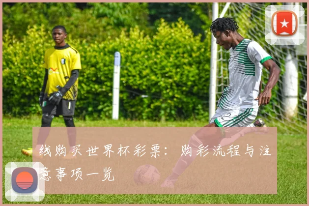 线购买世界杯彩票：购彩流程与注意事项一览